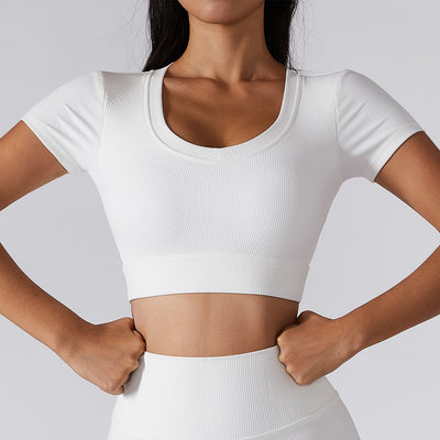 BASIXX EVERYDAY ESSENTIALS TOP