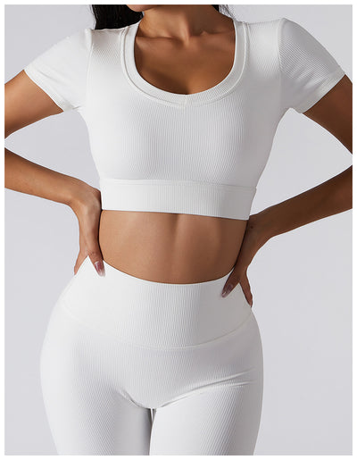 BASIXX EVERYDAY ESSENTIALS TOP