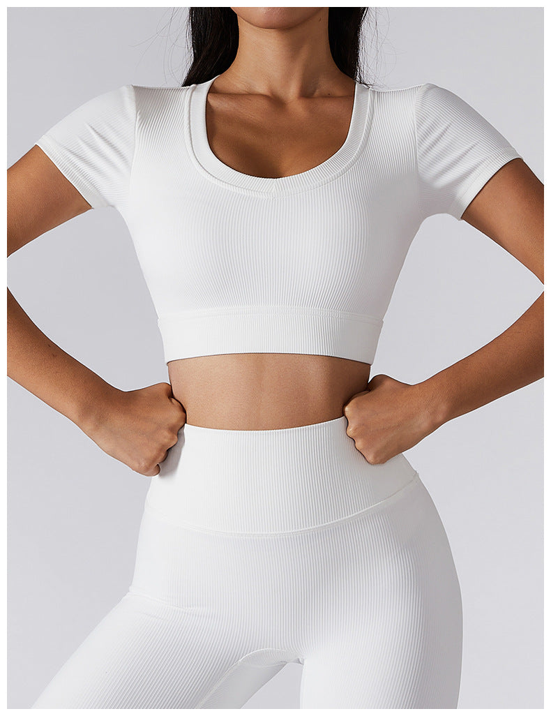 BASIXX EVERYDAY ESSENTIALS TOP