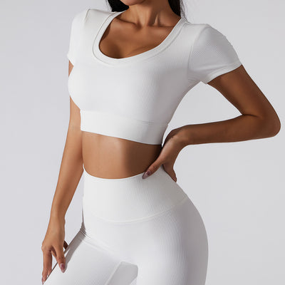 BASIXX EVERYDAY ESSENTIALS TOP