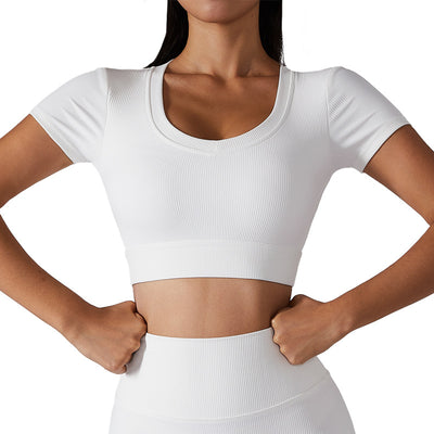 BASIXX EVERYDAY ESSENTIALS TOP
